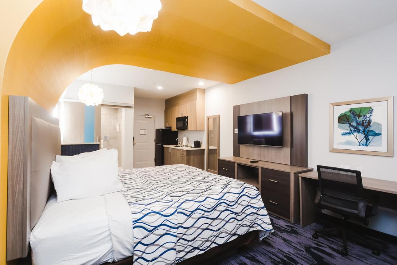 Palace Inn Blue Houston East Beltway 8 المظهر الخارجي الصورة
